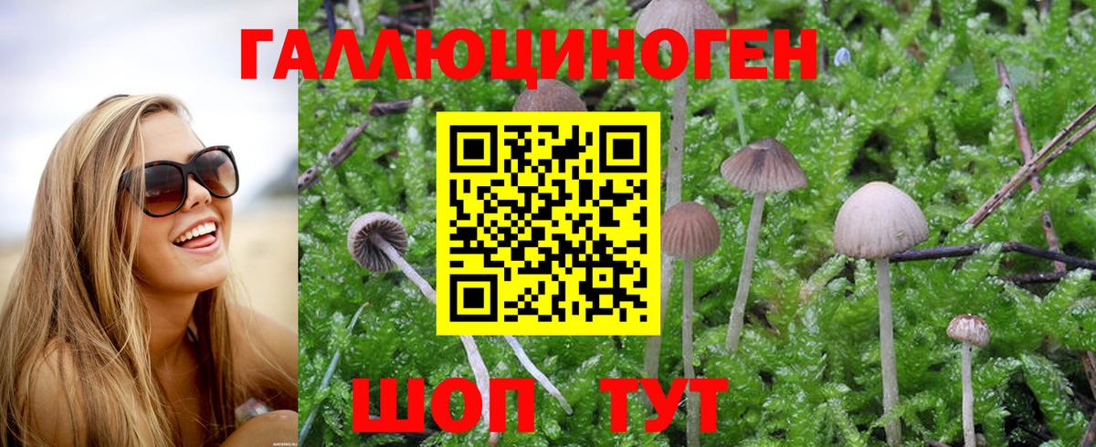 Ухта  Галлюциногенные грибы мицелий  Вход с VPN  Галлюциногенные грибы MAGIC MUSHROOMS 